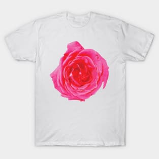 Beautiful big red rose T-Shirt